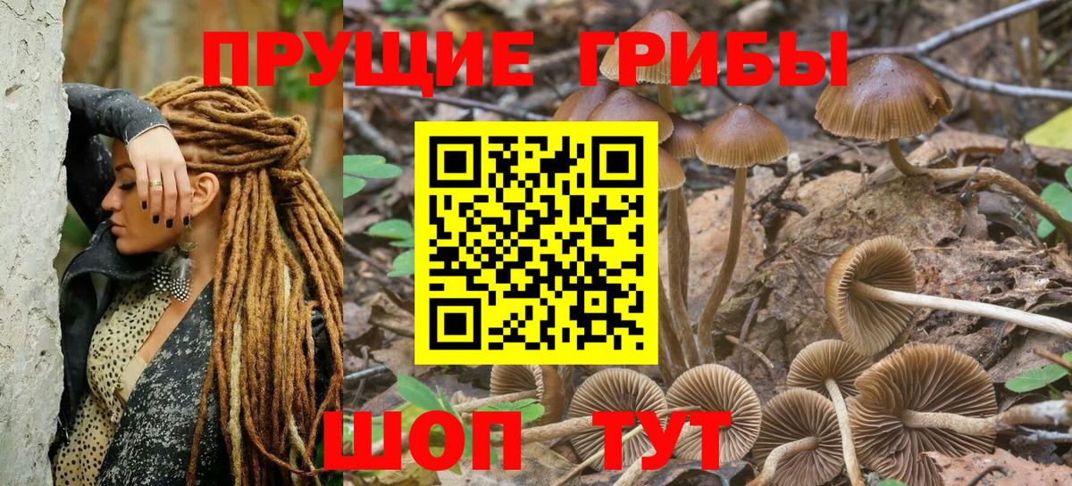 Ахтубинск  Галлюциногенные грибы MAGIC MUSHROOMS  Вход с VPN  Псилоцибиновые грибы MAGIC MUSHROOMS 